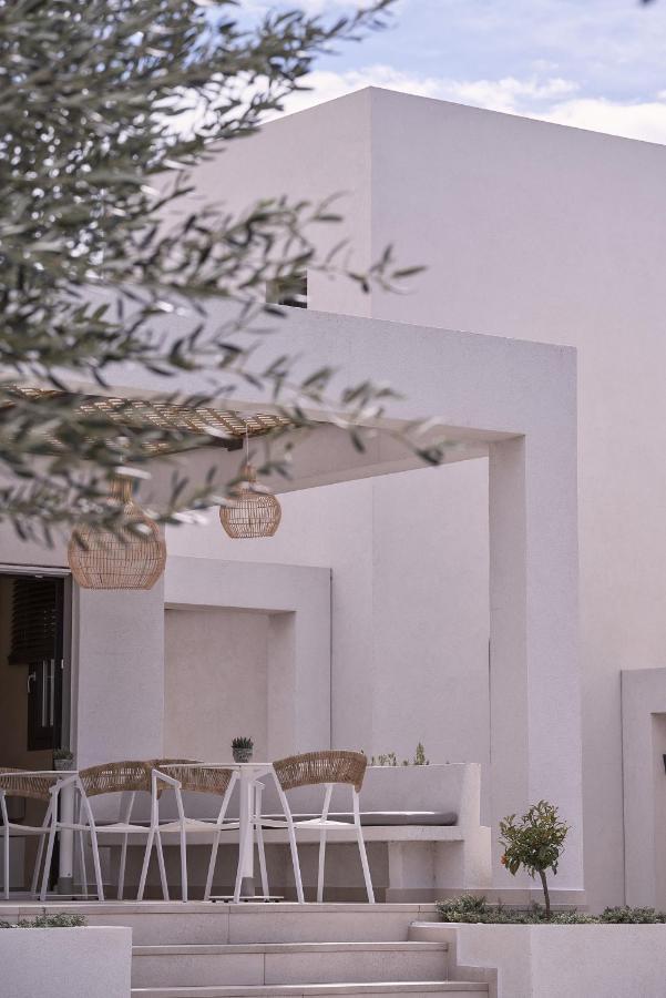 Isida Andros Hotel Áyios Pétros Eksteriør billede